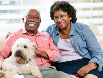 Health Benefits of Having Pets