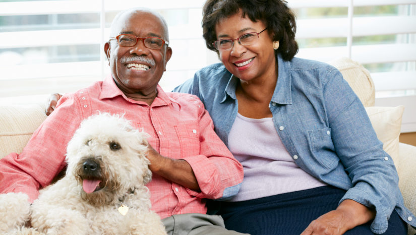 Health Benefits of Having Pets